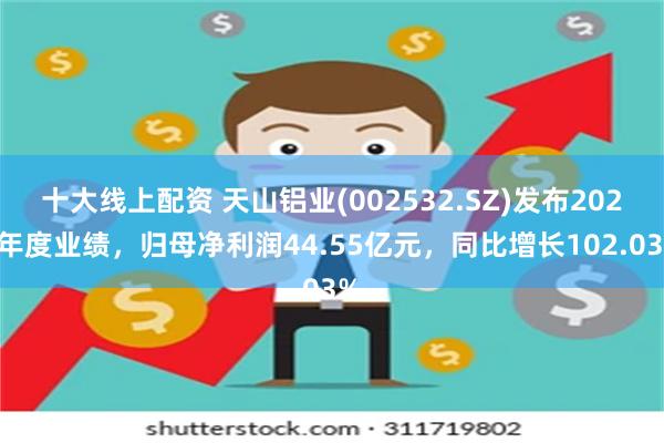 十大线上配资 天山铝业(002532.SZ)发布2024年度业绩，归母净利润44.55亿元，同比增长102.03%