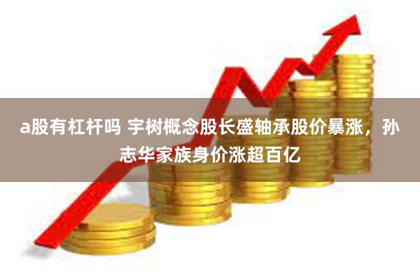 a股有杠杆吗 宇树概念股长盛轴承股价暴涨，孙志华家族身价涨超百亿