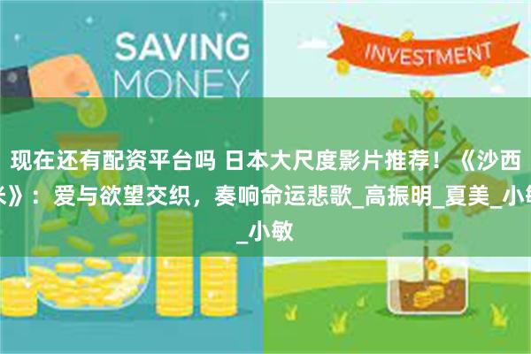 现在还有配资平台吗 日本大尺度影片推荐！《沙西米》：爱与欲望交织，奏响命运悲歌_高振明_夏美_小敏