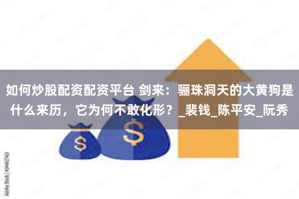 如何炒股配资配资平台 剑来：骊珠洞天的大黄狗是什么来历，它为何不敢化形？_裴钱_陈平安_阮秀