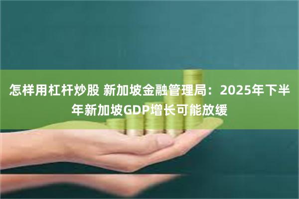 怎样用杠杆炒股 新加坡金融管理局：2025年下半年新加坡GDP增长可能放缓