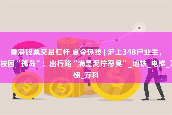 香港股票交易杠杆 夏令热线 | 沪上348户业主，7年被困“孤岛”！出行路“满是泥泞恶臭”_地铁_电梯_万科
